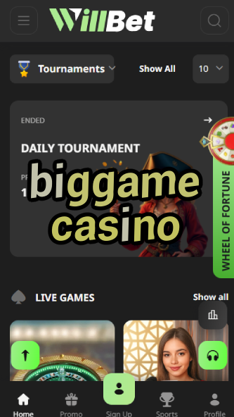 Biggame Casino - High-Stakes Gambling-ydblkf.net