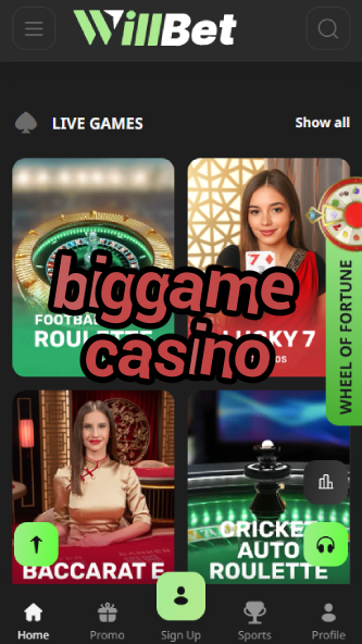 Biggame Casino - High-Stakes Gambling-ydblkf.net